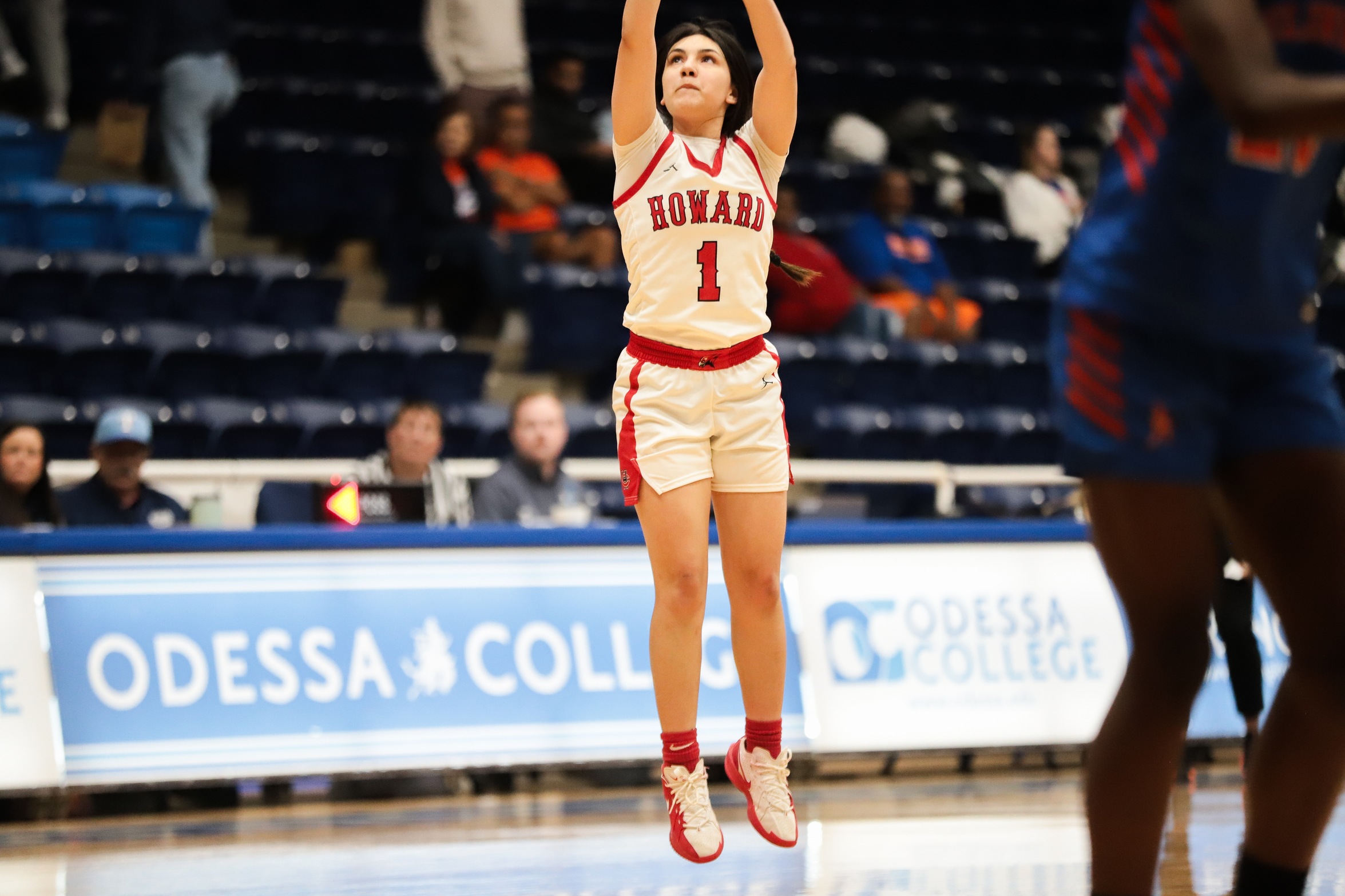 Lady Hawks Fall to McLennan in Region V Tournament